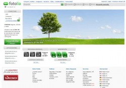 Fotolia